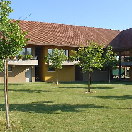 Les Loges Du Ried - Studios & Appartements Proche Europapark Marckolsheim Exterior foto